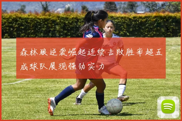 森林狼逆袭崛起连续击败胜率超五成球队展现强劲实力